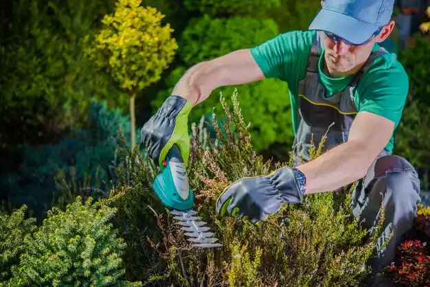 landscaping services Smallwood